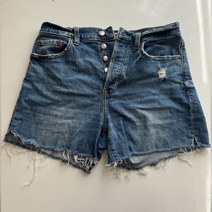 DAZE: Denim shorts (light distress) — Great condition